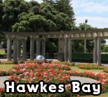 Hawkes Bay Babysitting Services