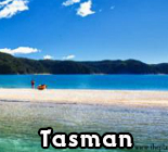 Tasman Babysitting Services